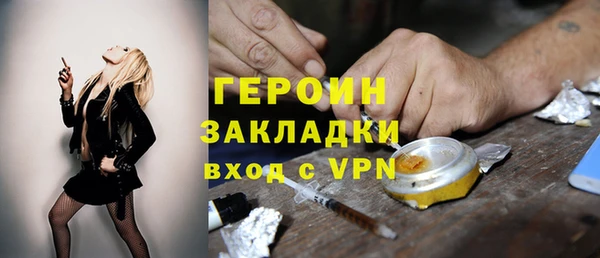 гашик Алексин