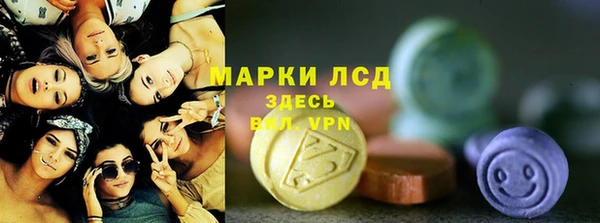 гашик Алексин