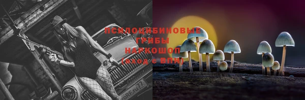 шишки Семикаракорск