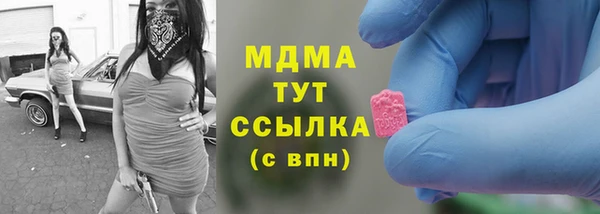 гашик Алексин