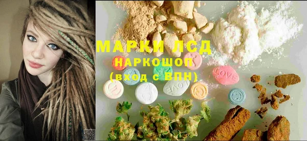 гашик Алексин