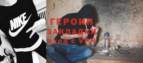 гашик Алексин