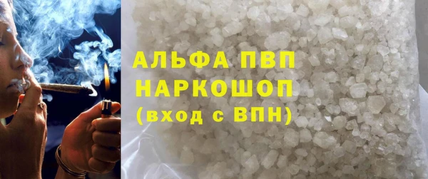 гашик Алексин