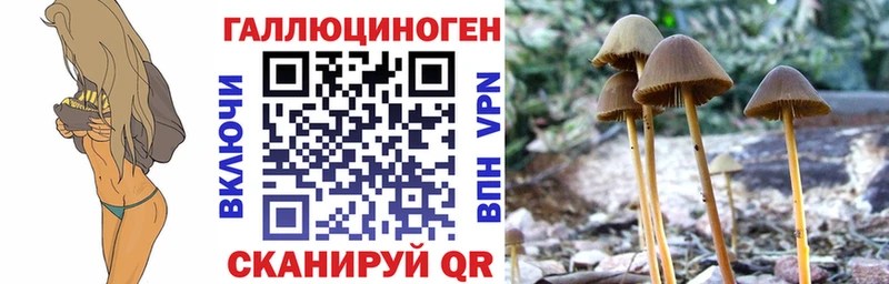 Галлюциногенные грибы ЛСД  цена наркотик  Новоаннинский 