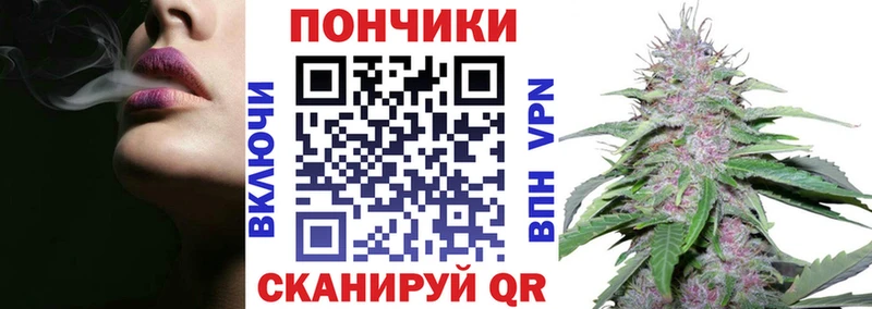 закладки  Новоаннинский  Марихуана сатива 